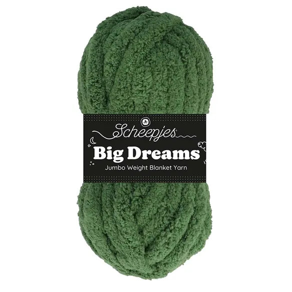Big dreams - 507