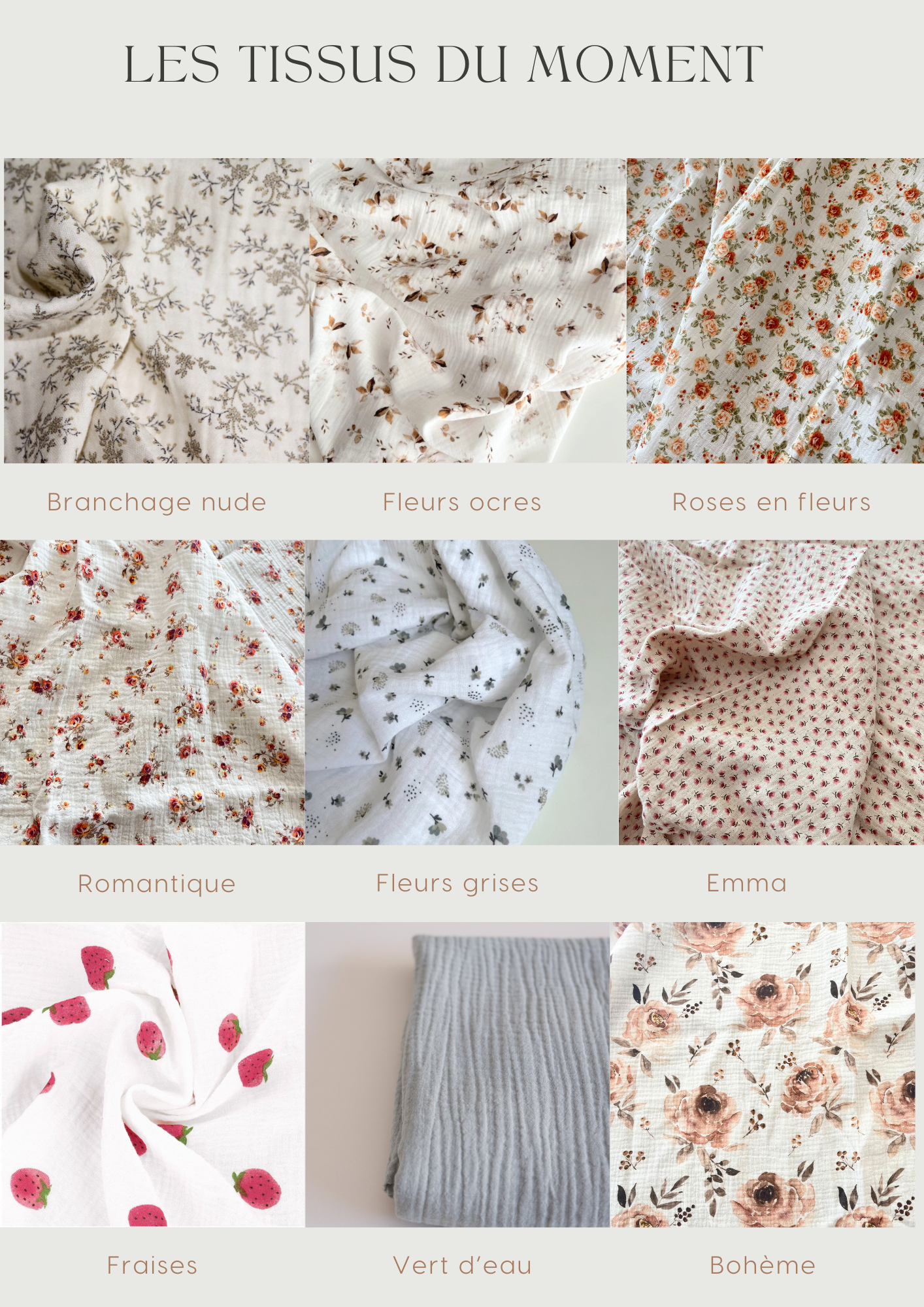 Alfred l’Éléphant 🐘