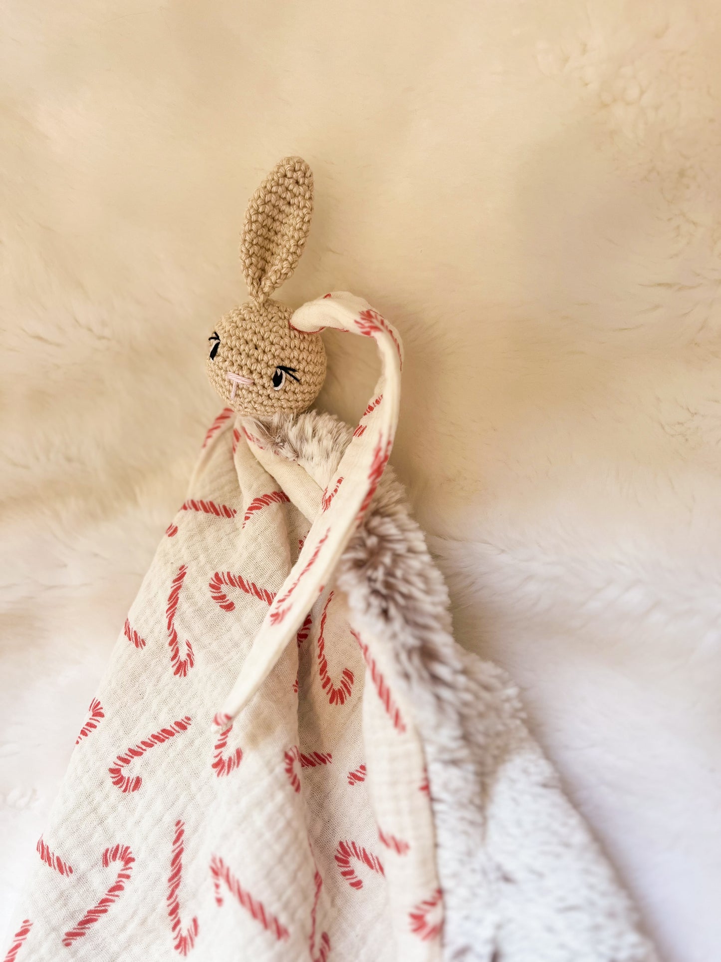Achille le lapin