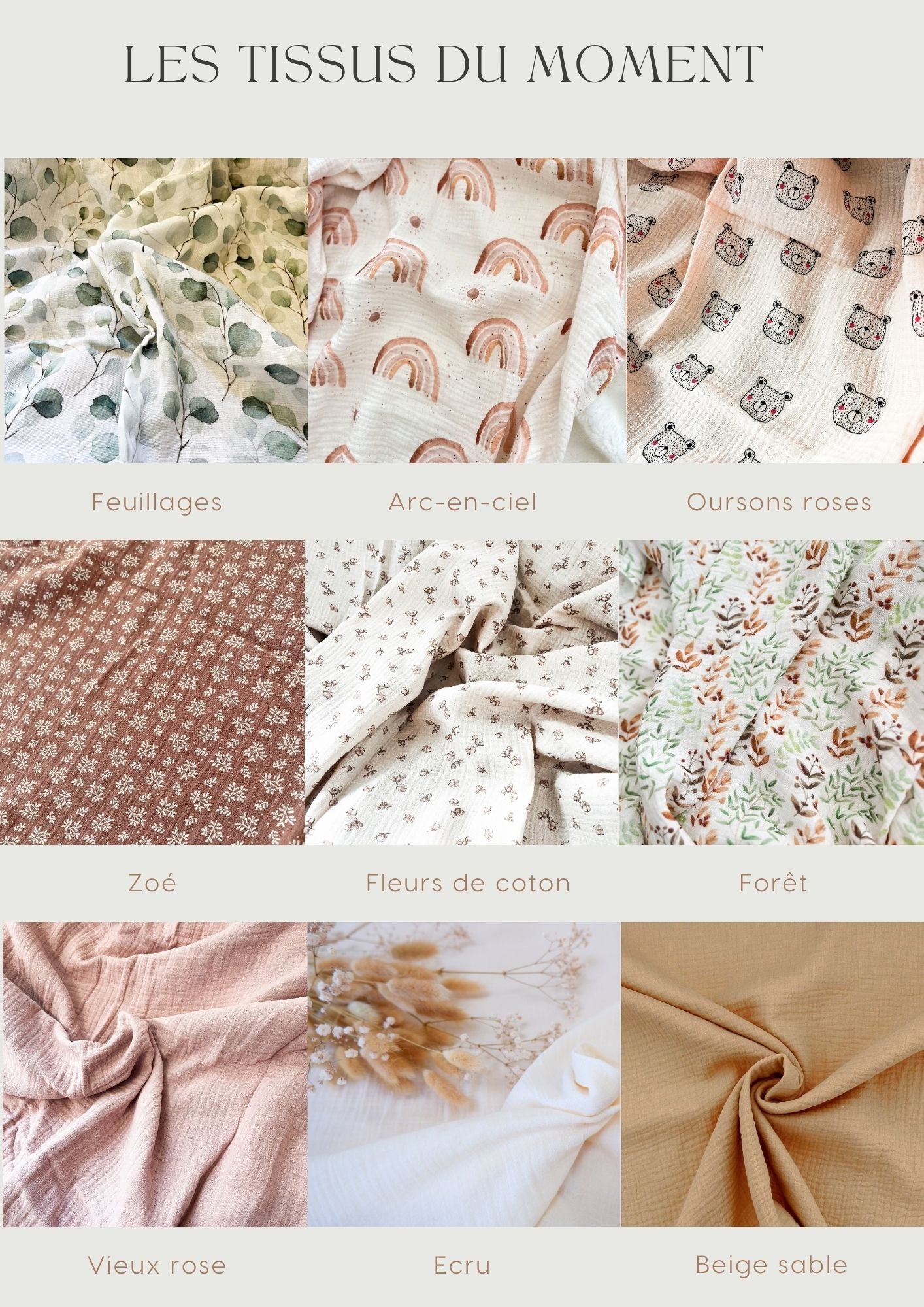 Lucien le Pingouin 🐧