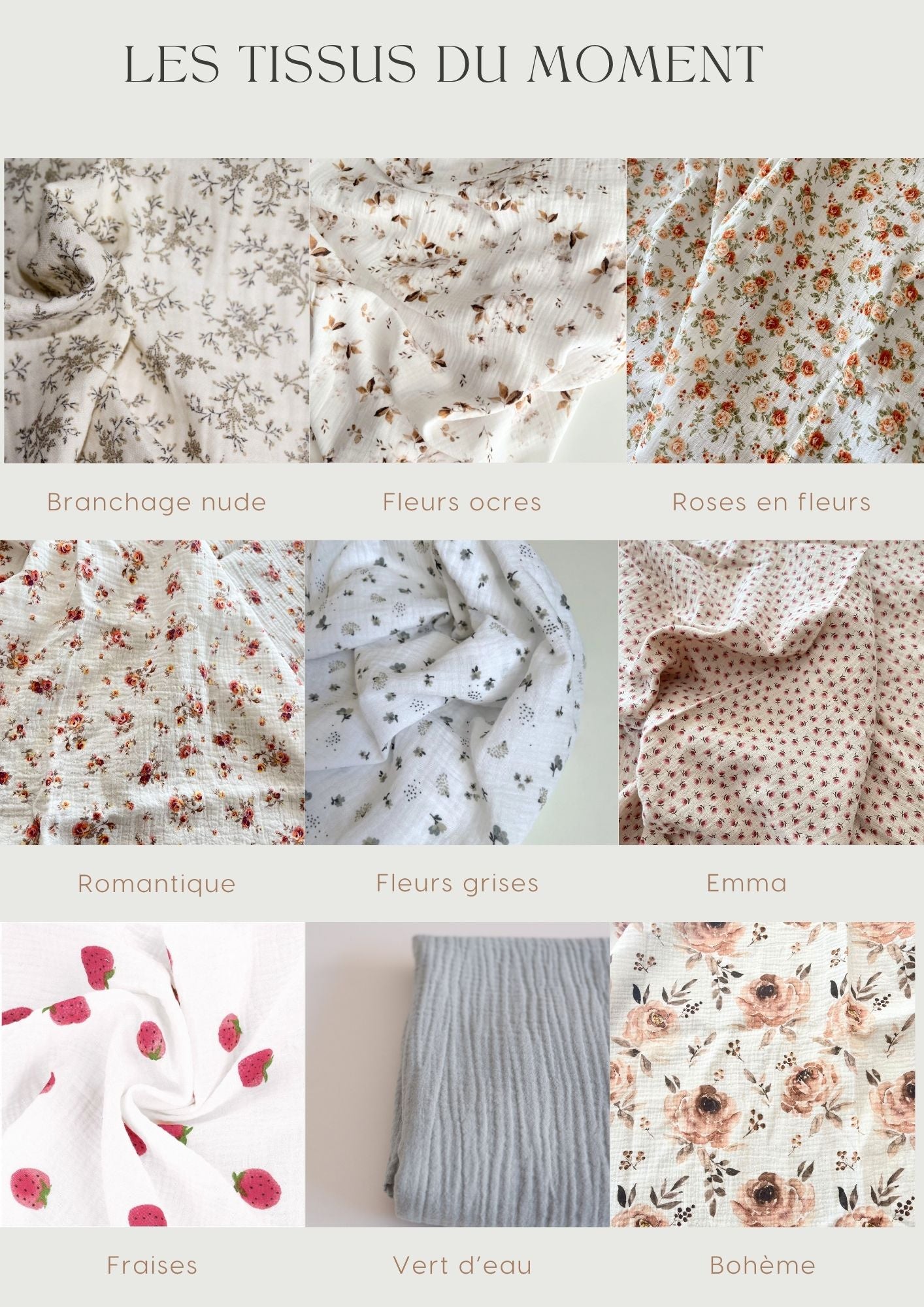 Lucien le Pingouin 🐧