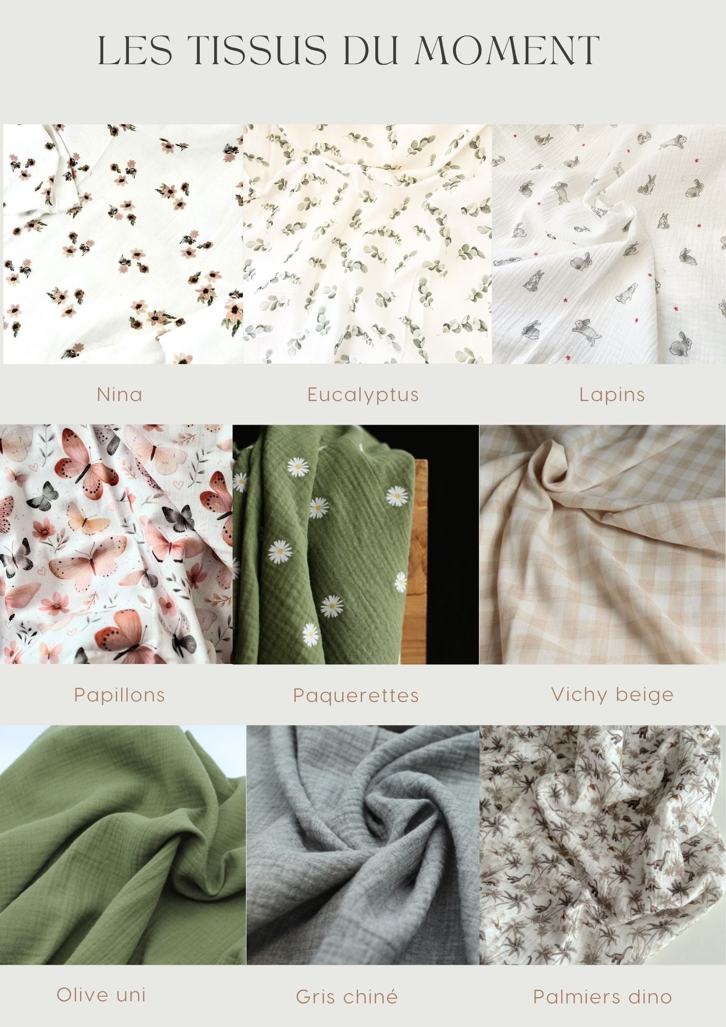 Lucien le Pingouin 🐧