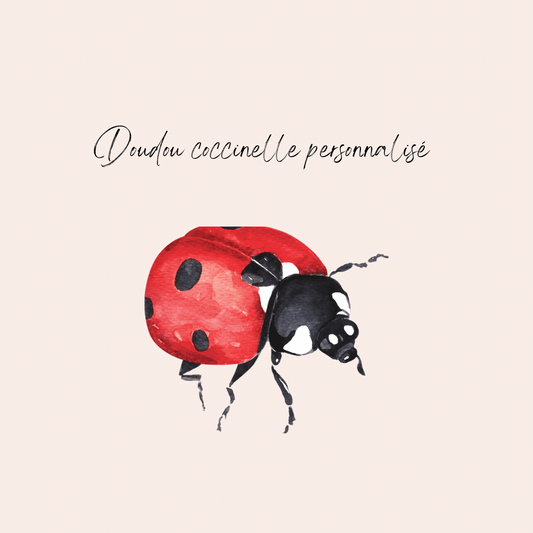Doudou personnalisé coccinelle 🐞
