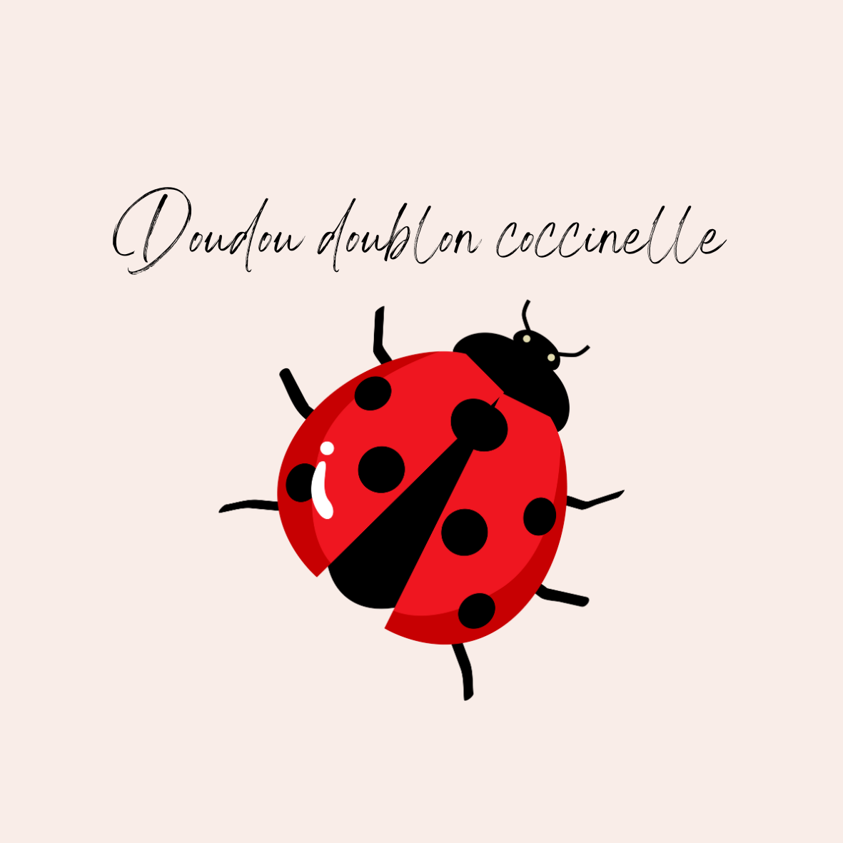 Doudou doublon coccinelle