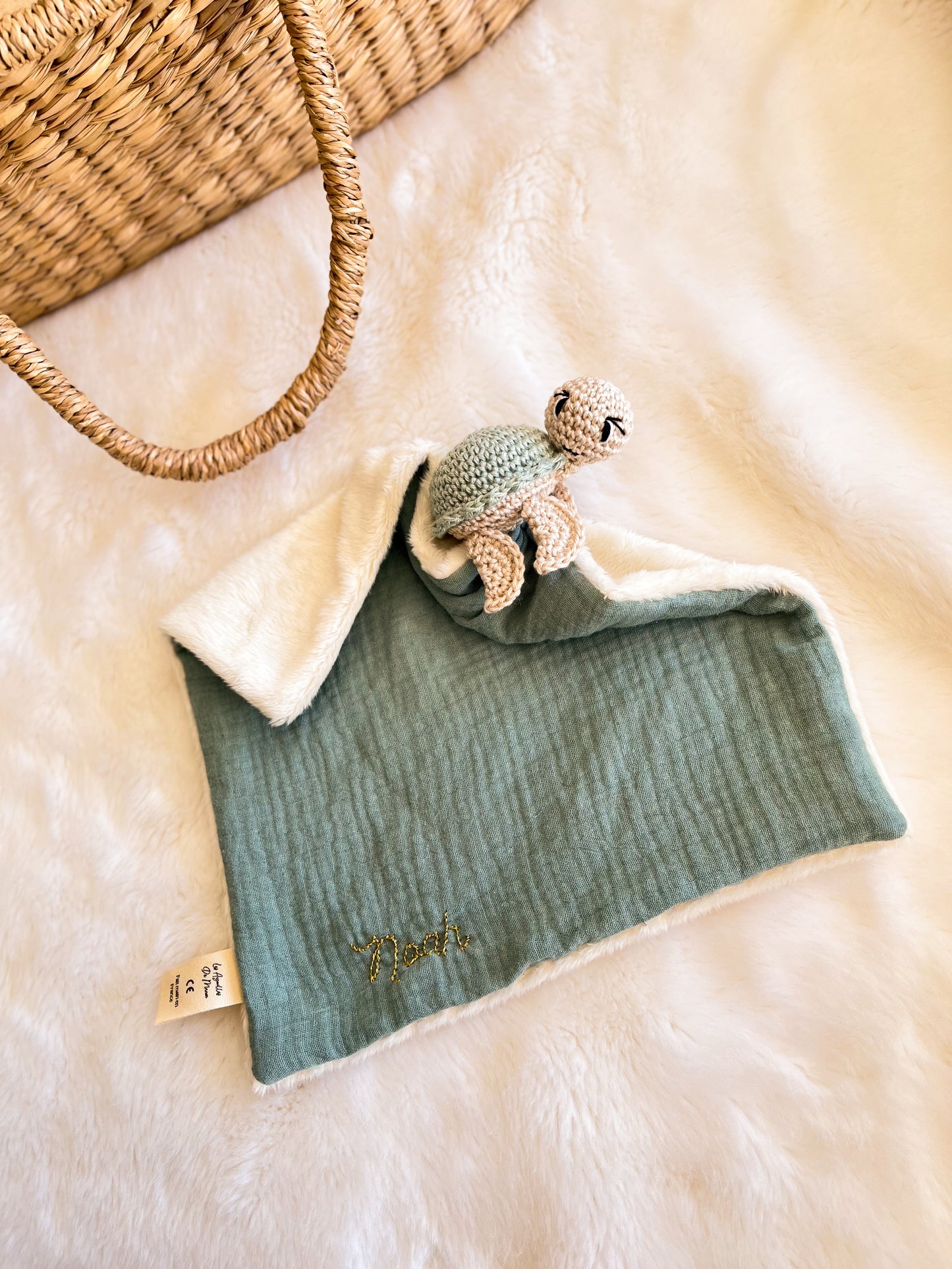 Louise la Tortue 🐢