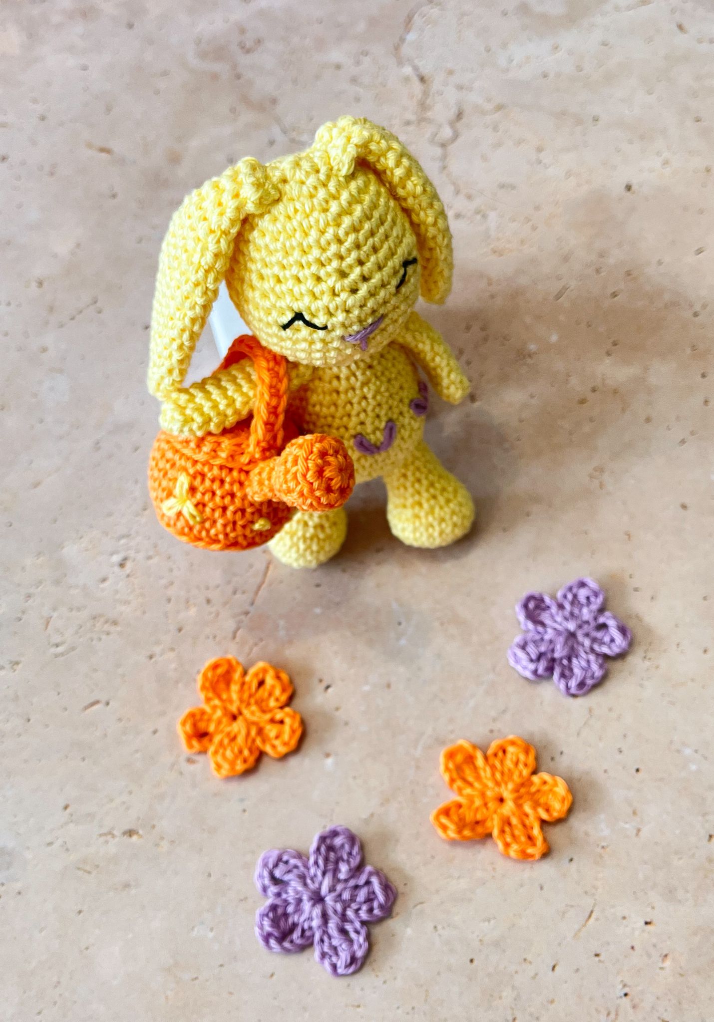 Célestin et son jardin 🐰 - Kit crochet