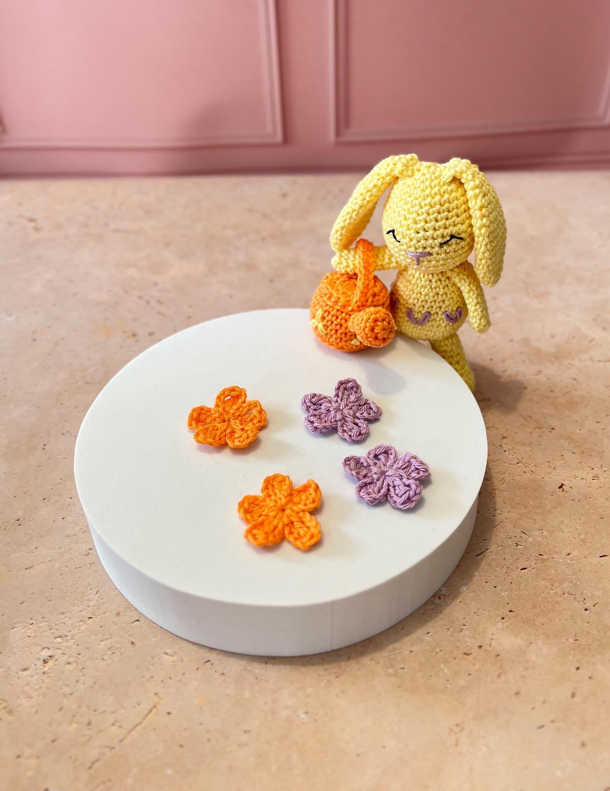 Célestin et son jardin 🐰 - Kit crochet